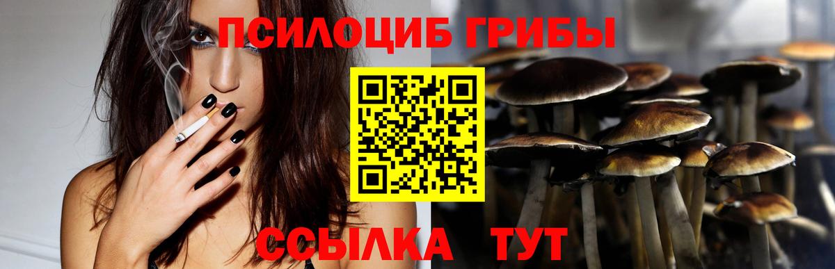 Галлюциногенные грибы мухоморы Когалым